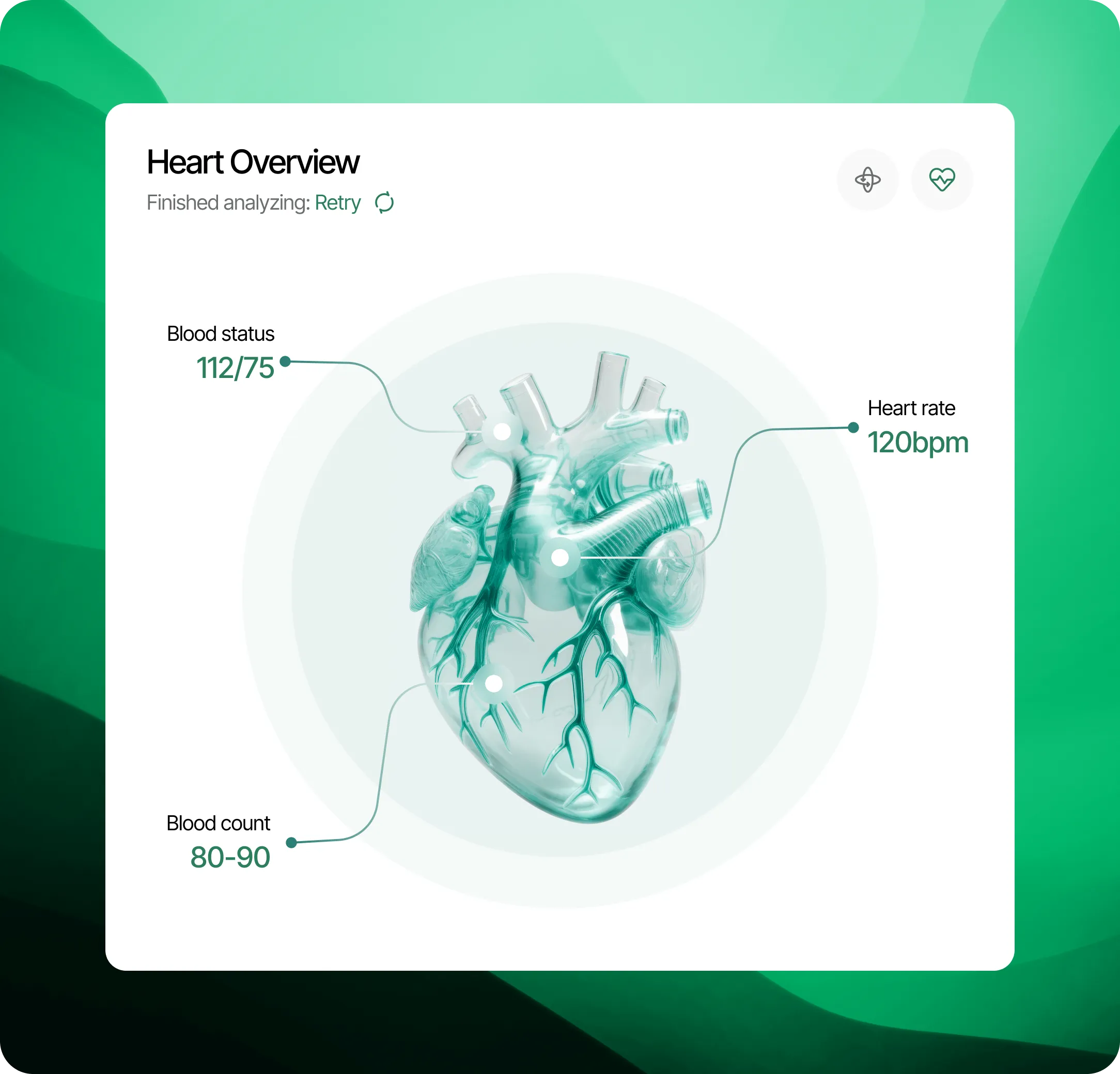 Heart Overview